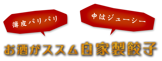 お酒がススム自家製餃子